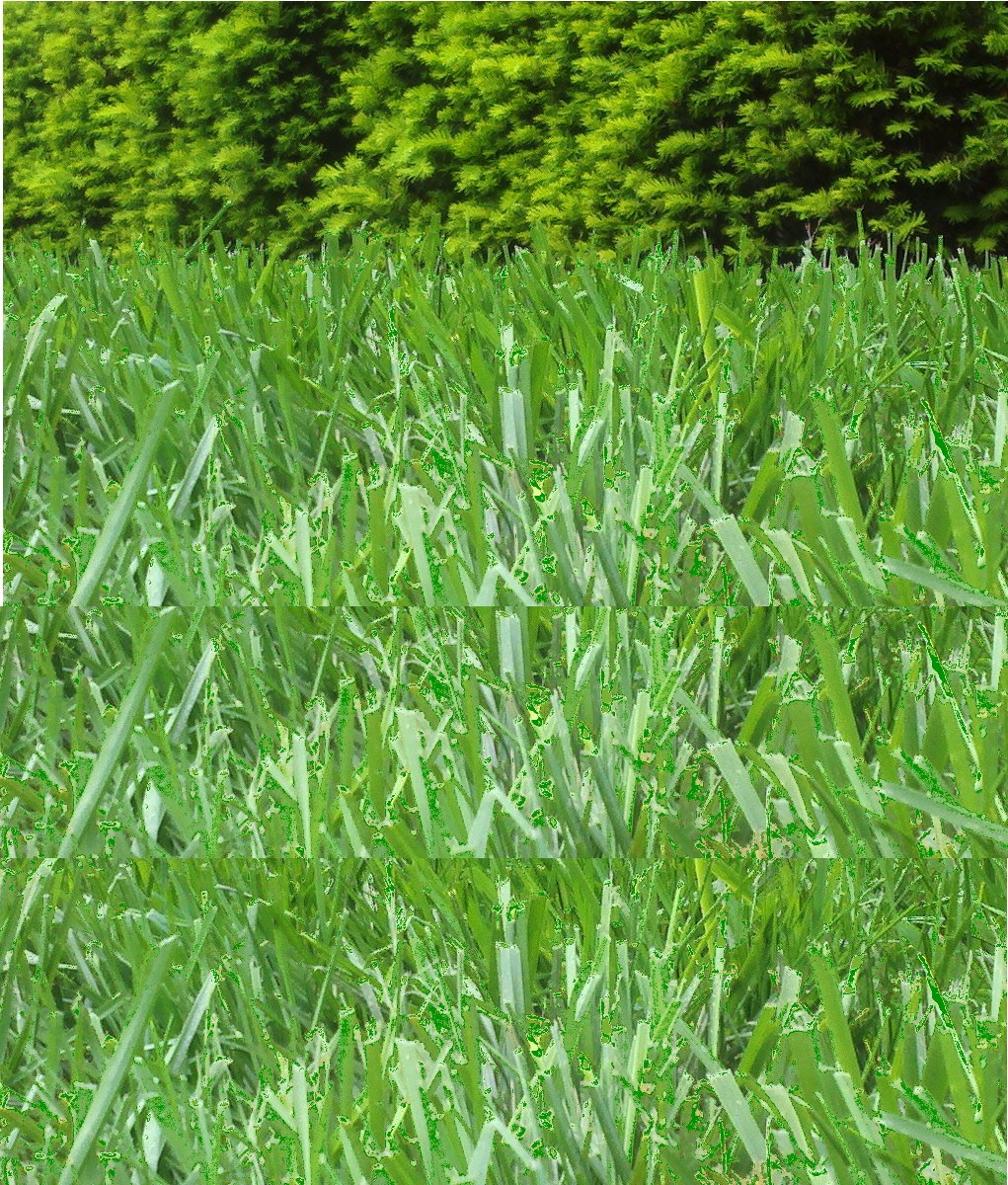 lawn care in philadelphia, lawncare for small lawn, cheap lawncare